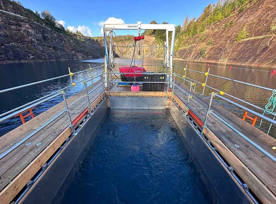 Moon Pool 3 Tonne Air Hoist Gantry Crane - Red Rooster Lifting