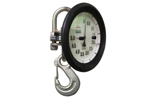 Crane Scales