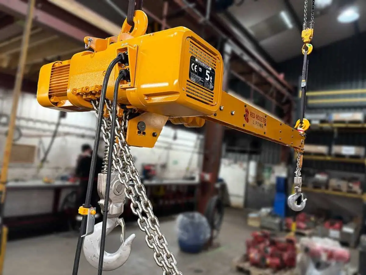 Custom Electric Twin Hook Chain Hoist for Hydropower Station